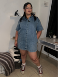 Gigi Denim Dress